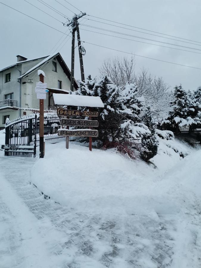 Agroturystyka Pensjonat Paula Muszyna Exterior foto